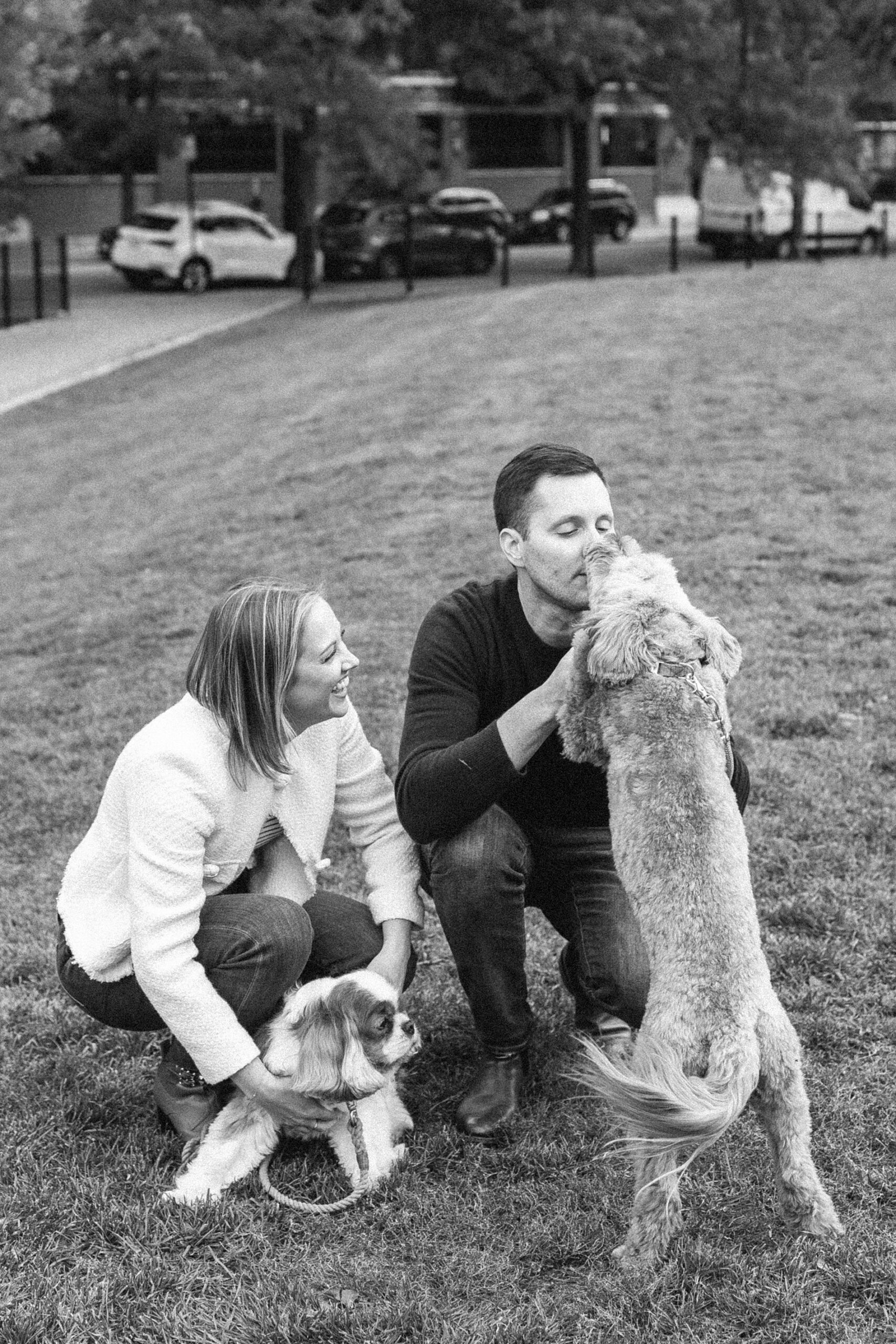 Chicago Fall Engagement Session with Dogs  
