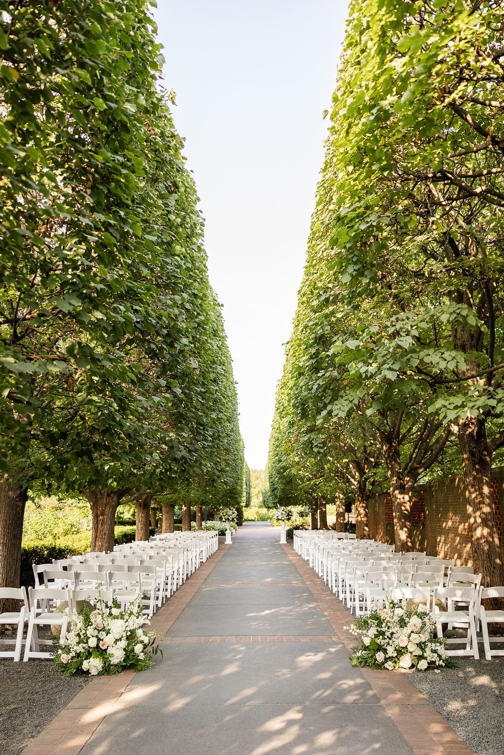 Chicago Botanic Gardens Wedding ceremony with tall trees lining the path