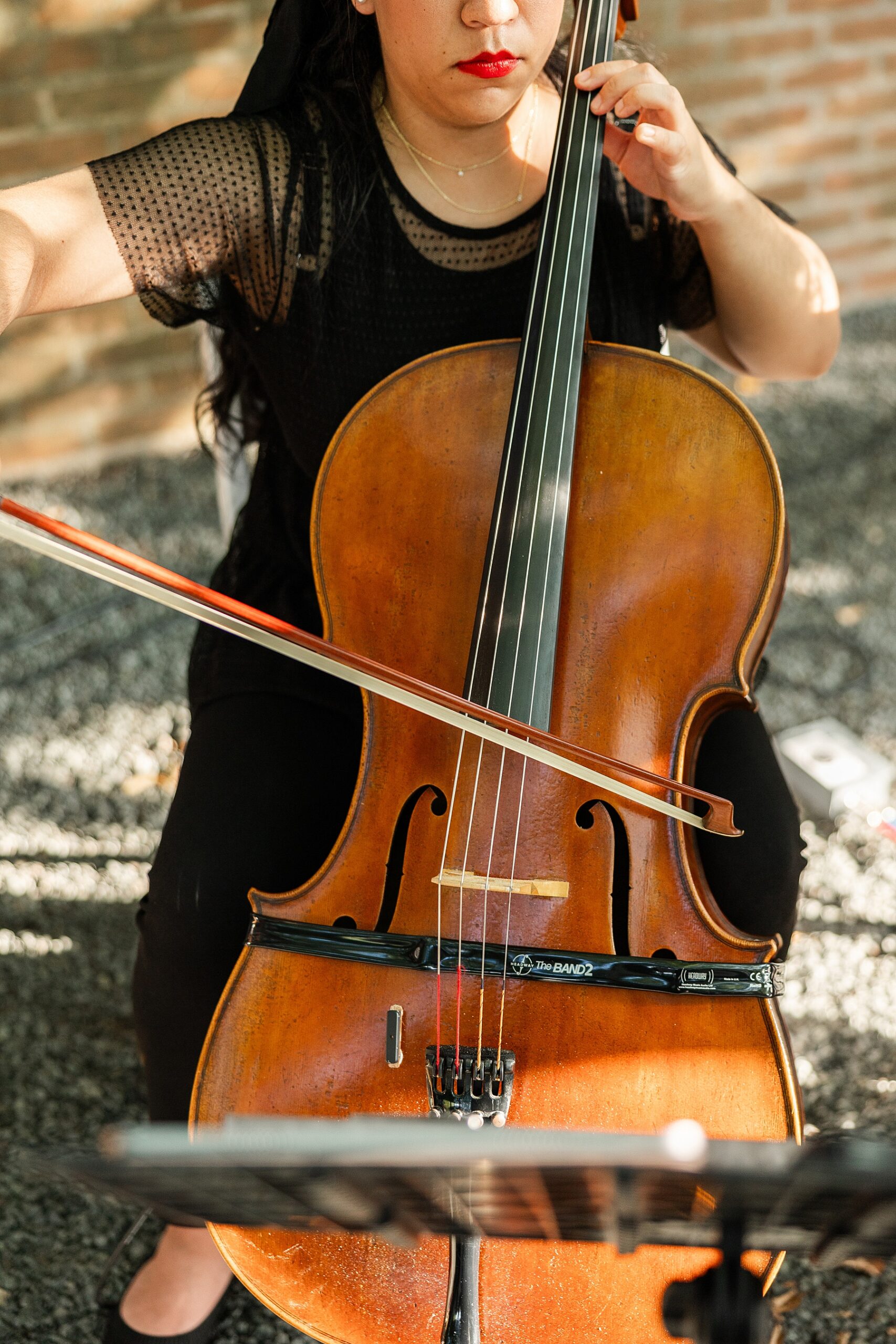 stringed instruments at wedding cermeony 